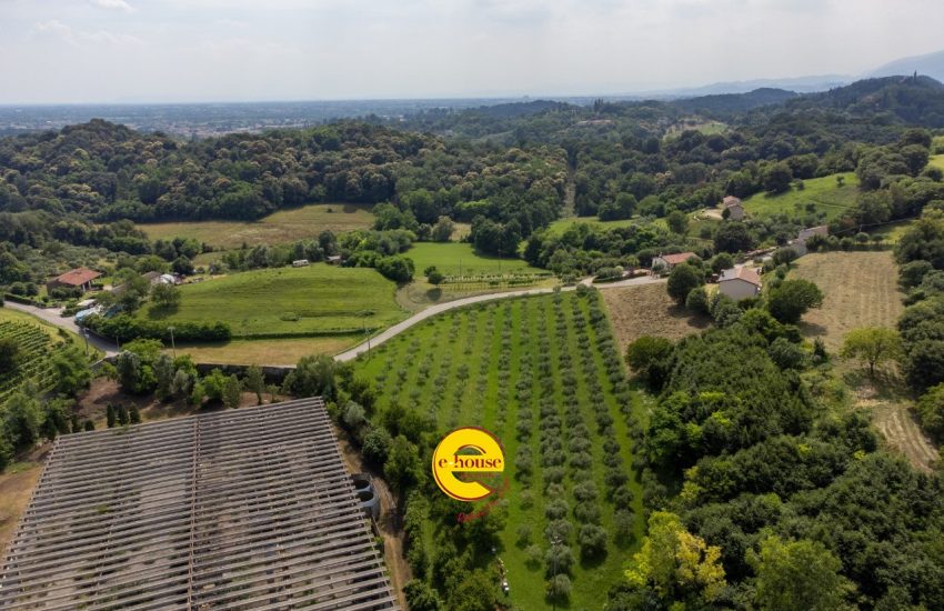 83d249cd-ad7a-424d-b633-45f59d43c9bf