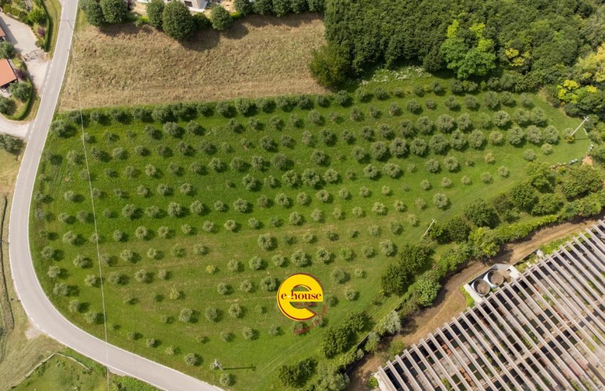 aade13da-5678-420f-8264-22976a1e6f0c