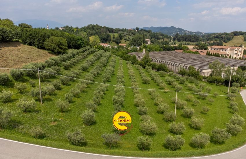 d8bb15a6-05fc-4a82-9964-7a191620f75b